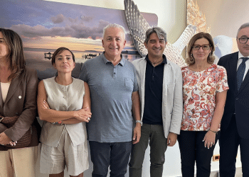 Fallucchi, Barone, Gatta, Di Mauro, Naturale e Lovecchio