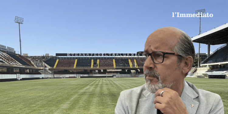 Domenico Di Molfetta