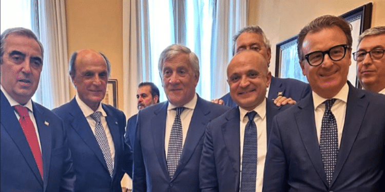 Gasparri, Lobuono, Tajani, D'Attis e Damiani