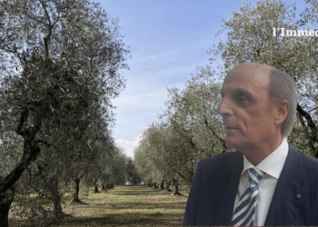 Luigi Lobuono