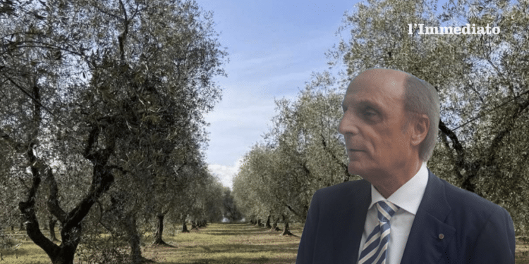 Luigi Lobuono
