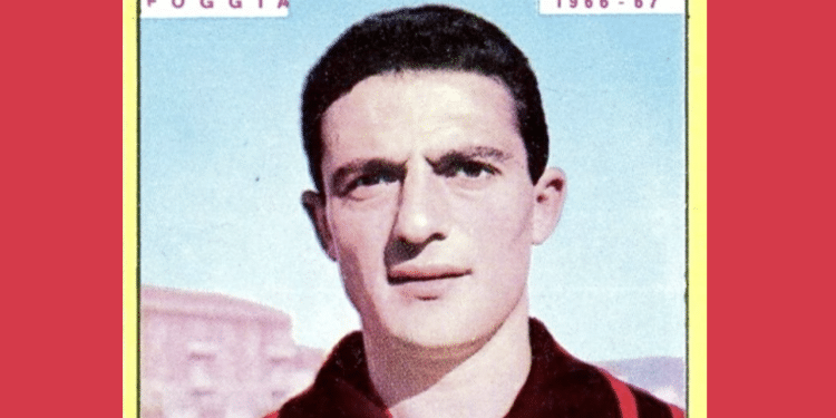 Vincenzo Faleo