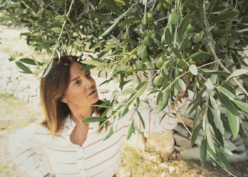 Annamaria Fallucchi