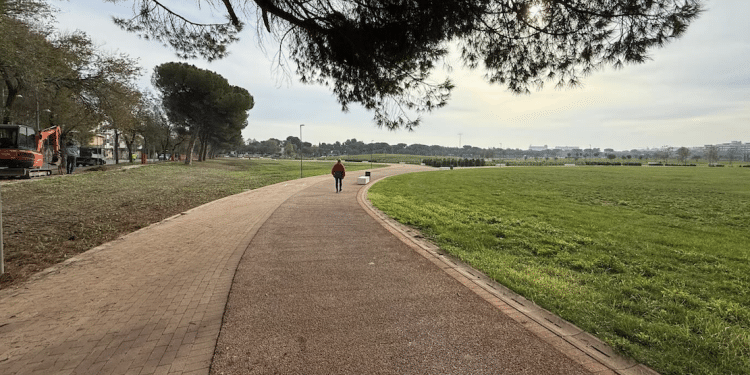 Campi Diomedei