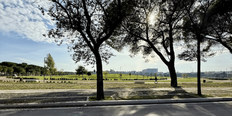 Campi Diomedei