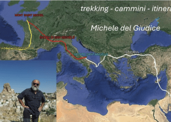 Michele del Giudice