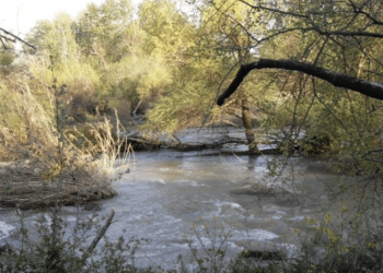 Fiume Ofanto