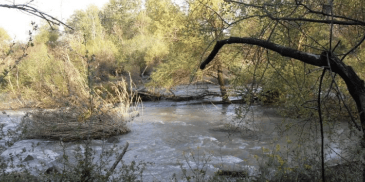 Fiume Ofanto