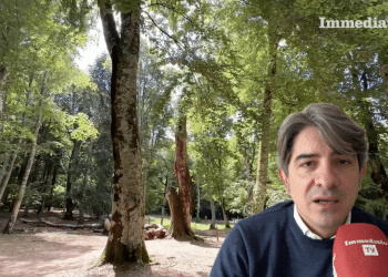Raffaele Di Mauro