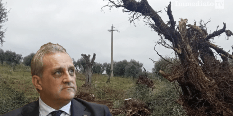Nicola Gatta