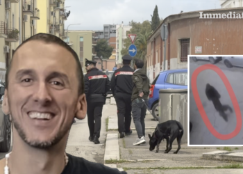 Dino Carta