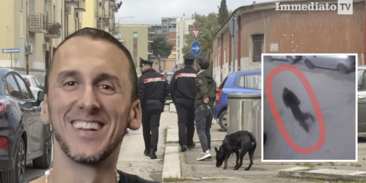 Dino Carta