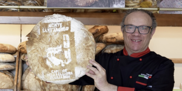 Donato Taronna