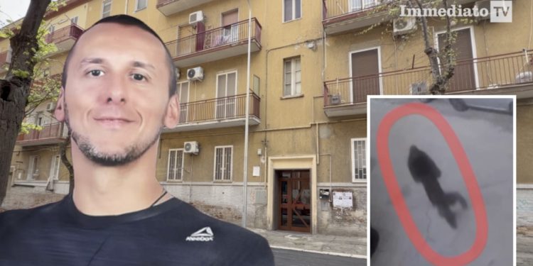 Dino Carta e il presunto killer