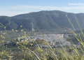 Mattinata