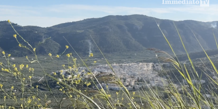 Mattinata