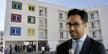 Napi Cera