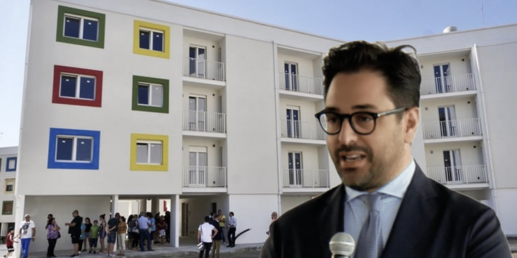 Napi Cera