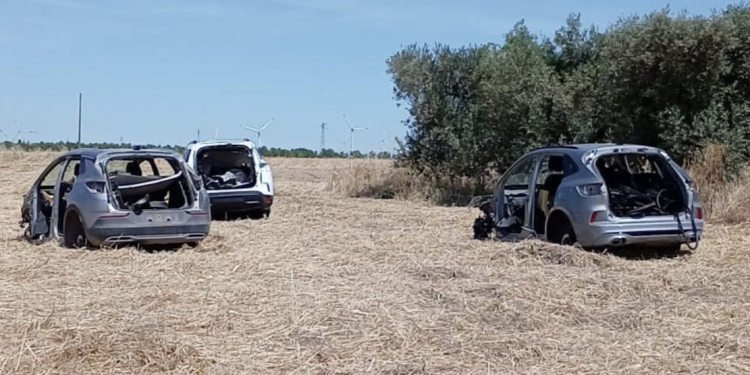 Auto rubate e cannibalizzate nelle campagne della Capitanata: trovate altre tre carcasse abbandonate Auto rubate e cannibalizzate nelle campagne della Capitanata: trovate altre tre carcasse abbandonate