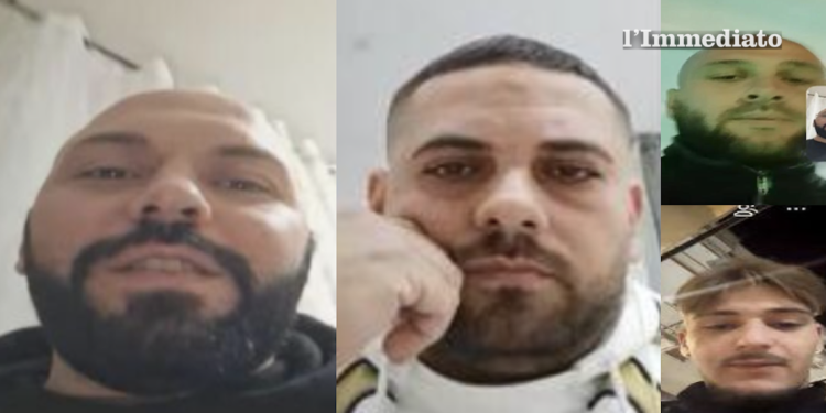Barbaro, Spinelli, Pompilio e Bruno