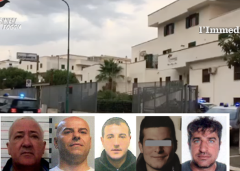 Sforza, Francavilla, Miucci, Notarangelo e Cariglia